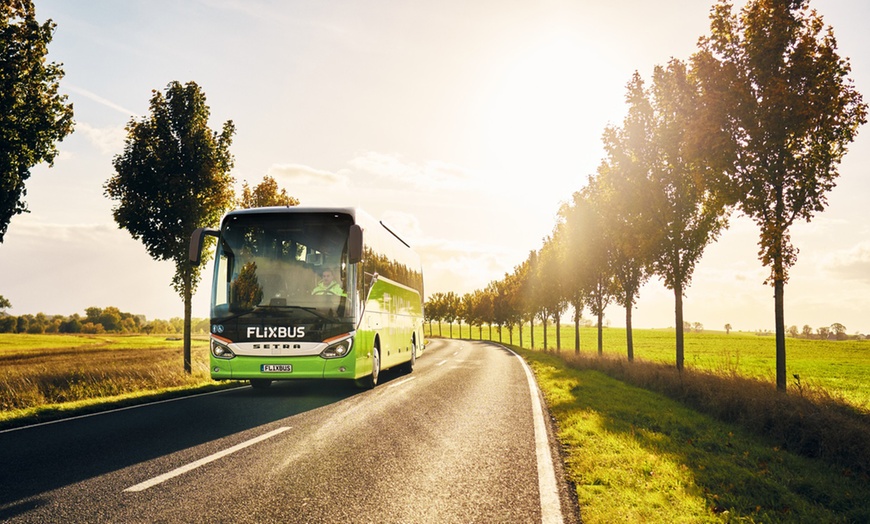 Image 2: 10% Rabatt FlixBus / FlixTrain