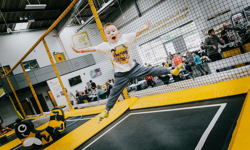 Image 7: Trampoline Park Access