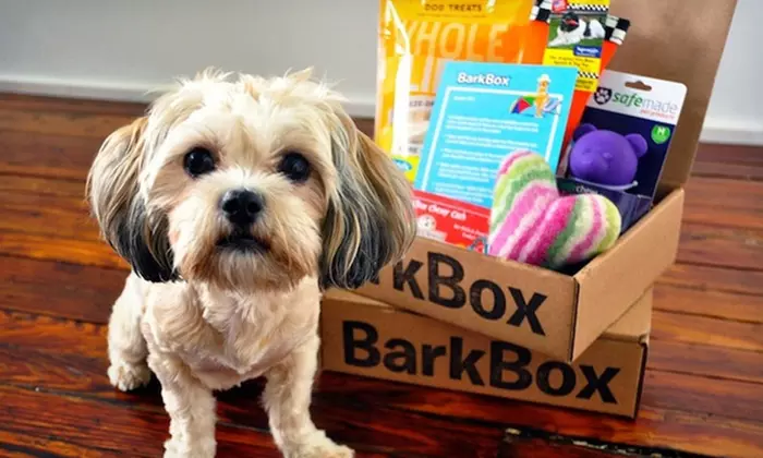 Three- or Six-Month Subscription for Monthly Delivery of Dog Goodies from BarkBox ( 41% Off ) - Primary Image