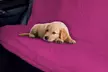 Housse auto protection animaux pour banquette arrière - Second Medium