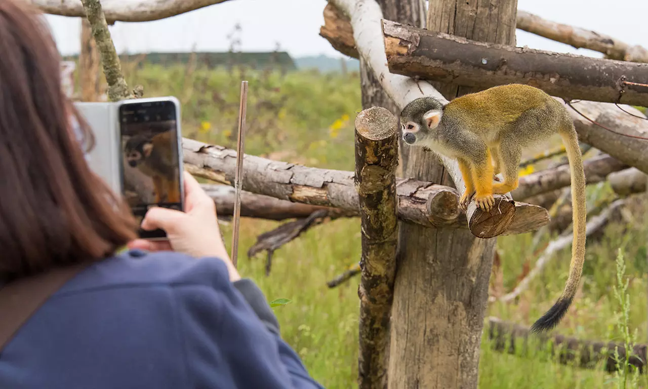 Safari animalier près de Paris avec accès Terre de Singes