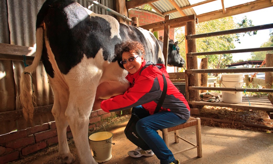 Image 4: Warrook Farm Tour