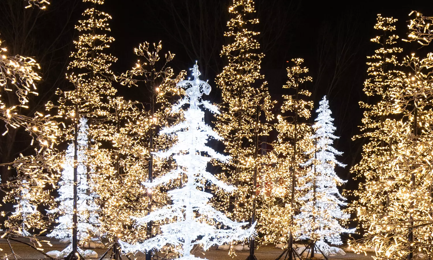 GLOW Holiday Festival - St. Paul