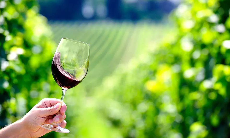 Wine-Tasting Packages at Vines & Rushes Winery (40% Off). Two Options Available. - Primary Image