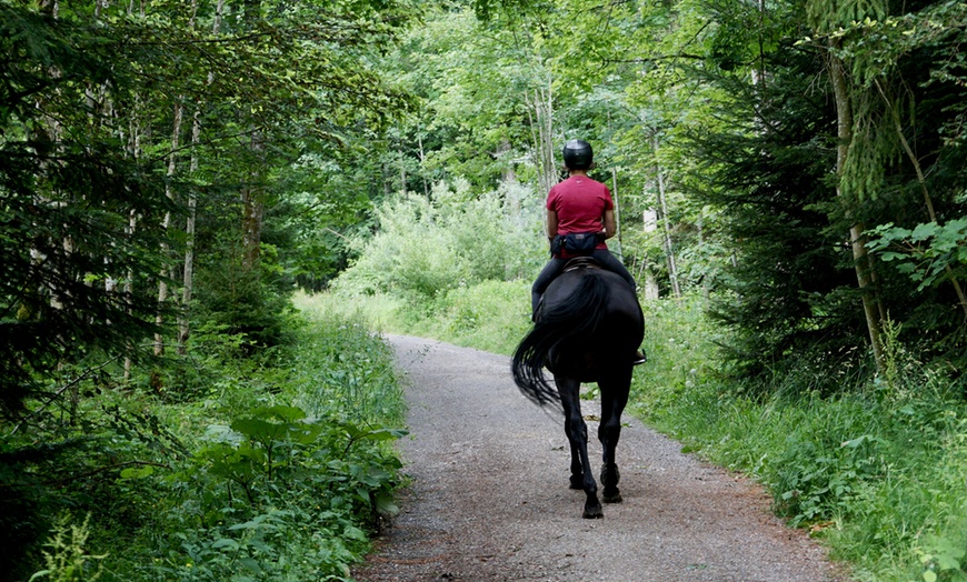 Image 17: Paseo a caballo de 1 hora por el Parque del Guadarrama con refresco