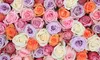 The Ultimate Romantic Gesture: Farm Fresh 24 Luxury Long Stem Rose Bouquets from Rose Farmers, Shipping Included (Up to 38% Off)  