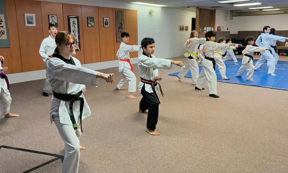 Up to 50% Off on Martial Arts / Karate / MMA at Rising Star Martial Arts