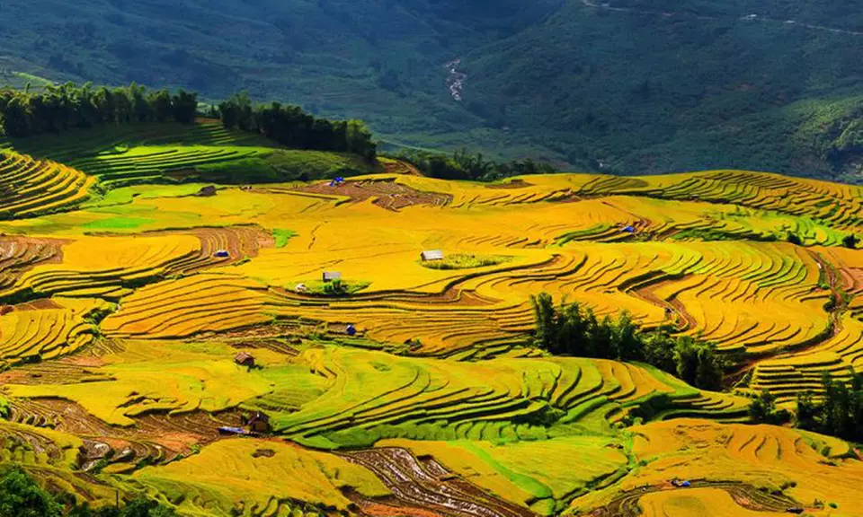 Get Up to $1,000 Gift Card: Explore Vietnam & Southeast Asia