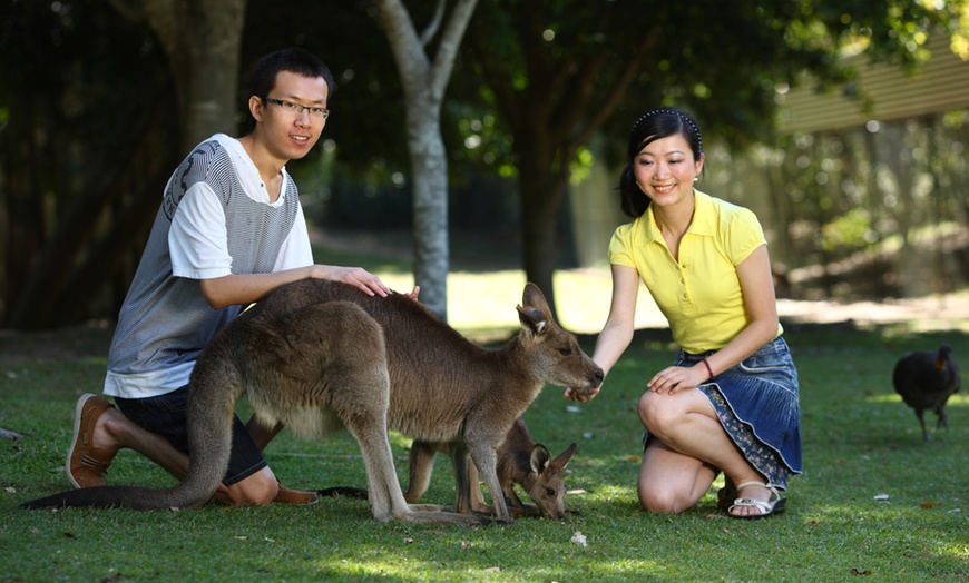 Image 10: Admission and Hospital Sneak Peek to Australia Zoo