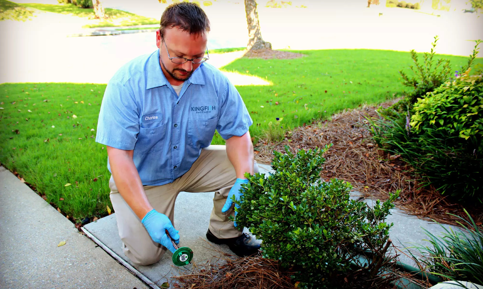 Sentricon Termite Treatment with Always Active for Homes up to 4,000 Square Feet (Up to 83% Off) - Primary Image