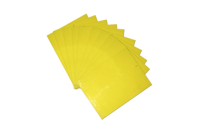 Image 7: Dual-Sided Yellow Sticky Traps