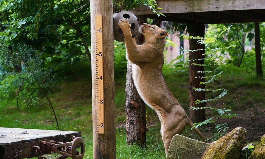 Image 2: Central London: One or Two-Night Stay with visit to London Zoo