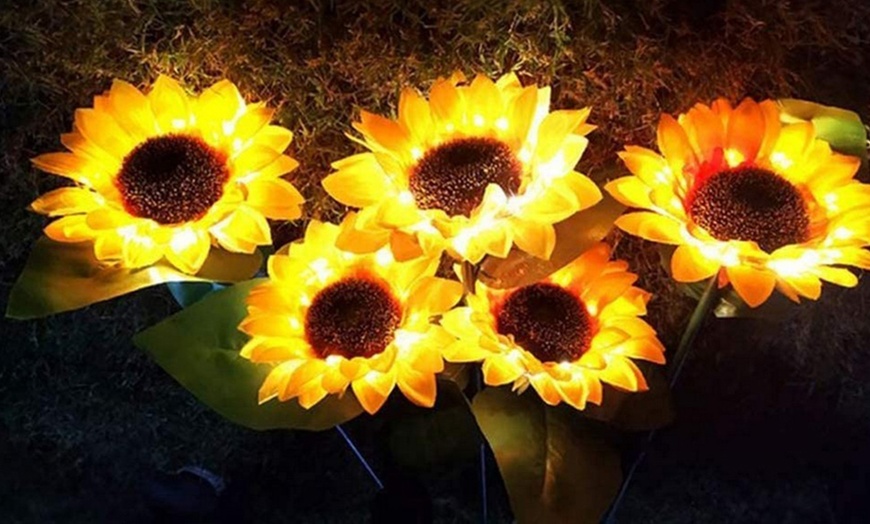 Image 5: Two or Four Packs of Solar Powered Garden Decorations Sunflower Lights