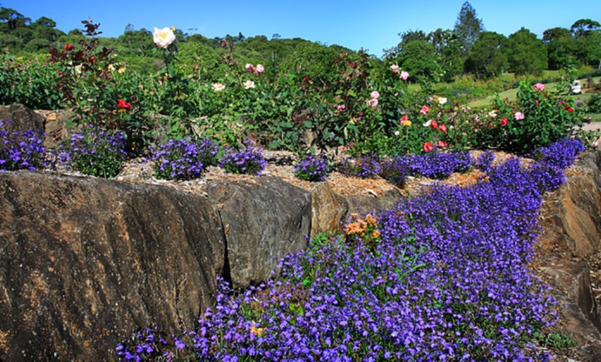 Image 3: $10 Maleny Botanic Gardens Entry