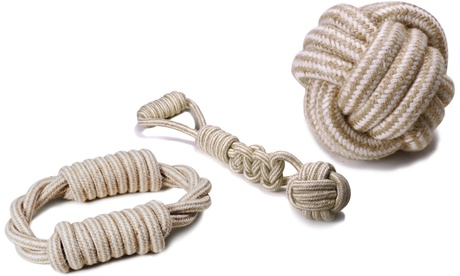 Gioco per cani Best Friend disponibile in 3 modelli