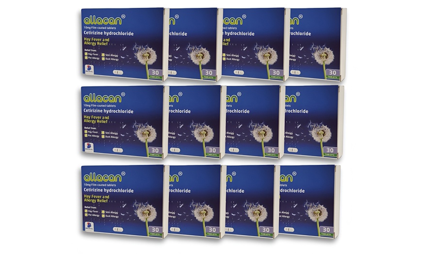 Image 3: Allacan Cetirizine Hydrochloride Tablets up to 12 months Supply 