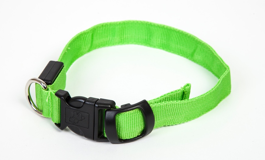 Image 11: LED Dog Collars