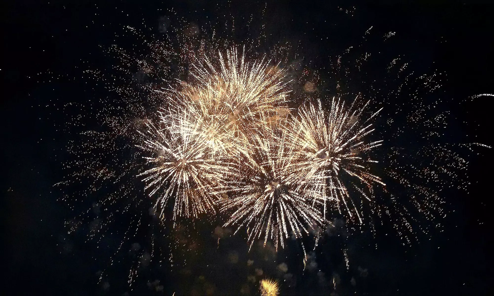 One Adult or Child Ticket to Waikiki Friday Night Firework Cruise at Hawaii Experiences (Up to 20% Off) - Primary Image