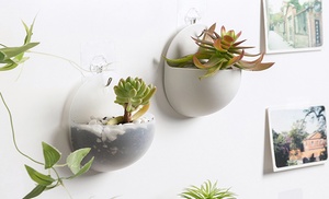 Wall-Mounted Mini Planters 