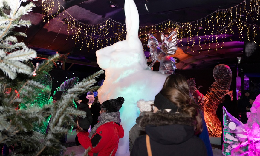 Image 6: Niederländisches Eisskulpturen-Festival in Biddinghuizen