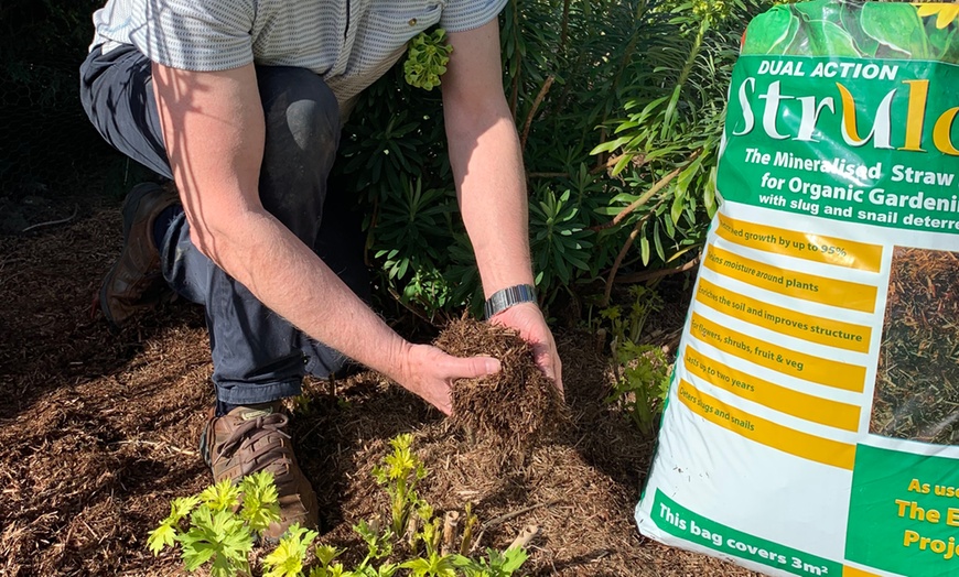 Image 2: 100L or 200L Strulch Mineralised Straw Garden Mulch