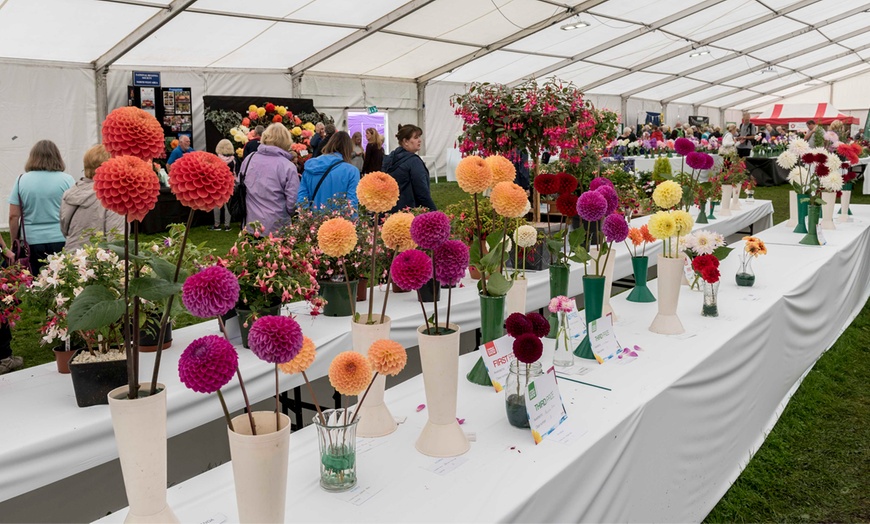 Image 1: Chorley Flower Show