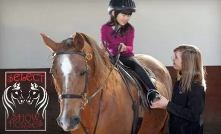$40 for Two One-Hour Horseback Riding Lessons at Select Show Horses in Sheridan ($80 Value) - Primary Image