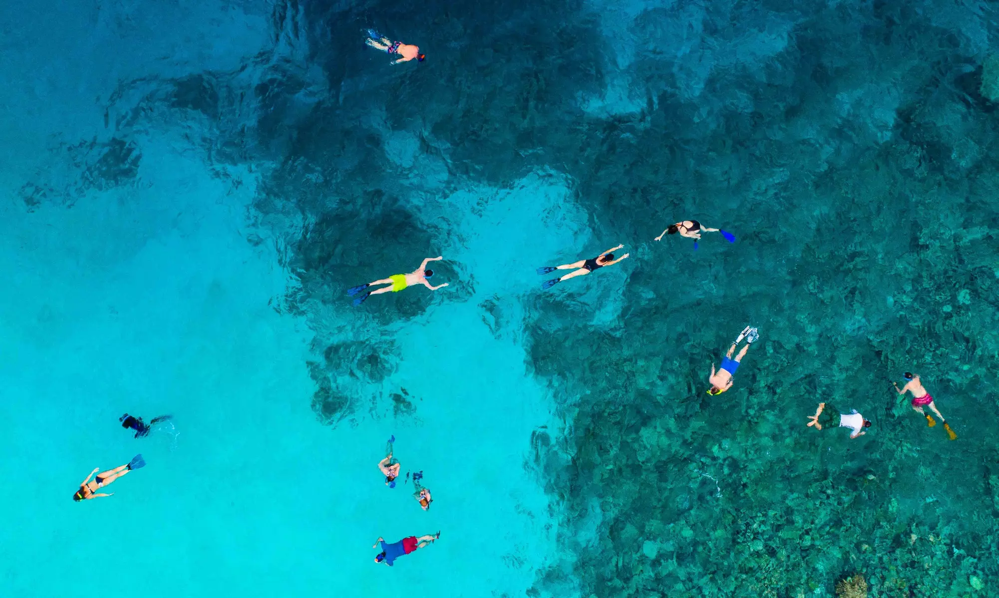 1.5-Hour Guided Snorkel Tour for One, Two, or Four with Rental Gear from Snorkel Cali (Up to 38% Off) - Primary Image
