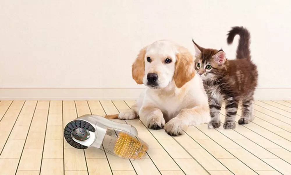 Elektrische stofzuiger dierenharen