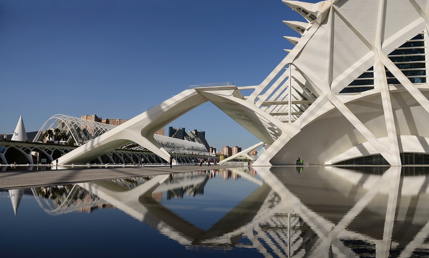 Image 5: Entrada de 1 día al Oceanogràfic, Museo Príncipe Felipe y/o Hemisfèric