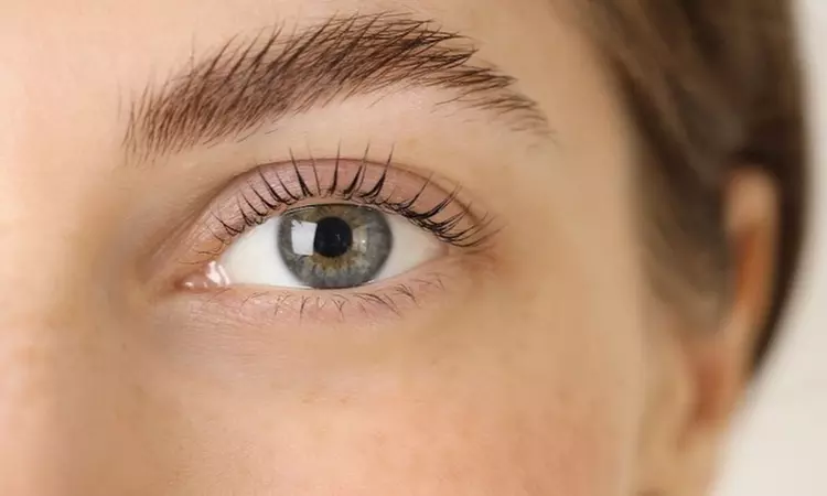 Korean Style Lash Lift and Optional Tint - Regular