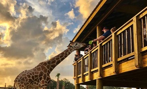 Drive-Thru Safari Experience