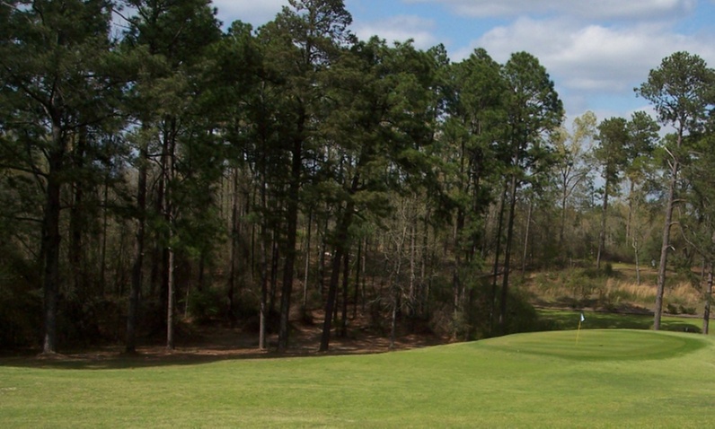 Pine Needles Country Club offers 9 or 18-hole golf rounds with range balls, up to 30% off - Primary Image