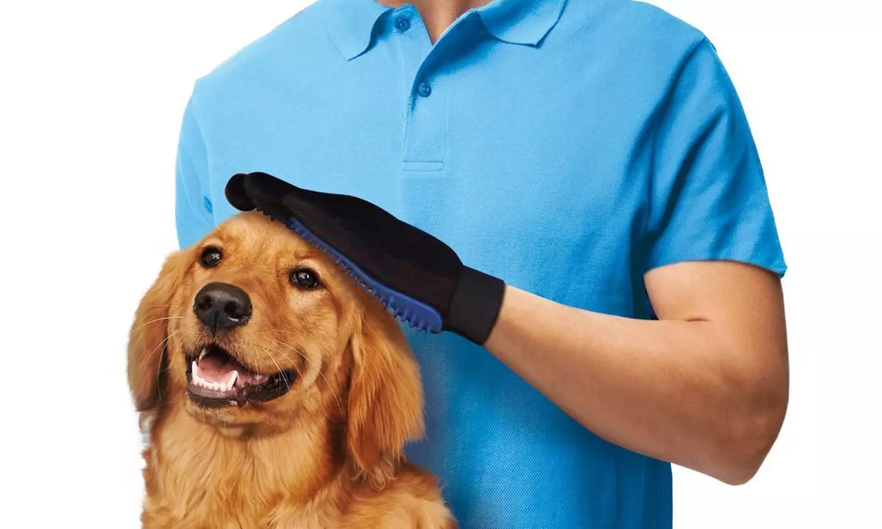 1 ou 2 gants de toilettage attrape poils, pour animaux de compagnie - Primary Image