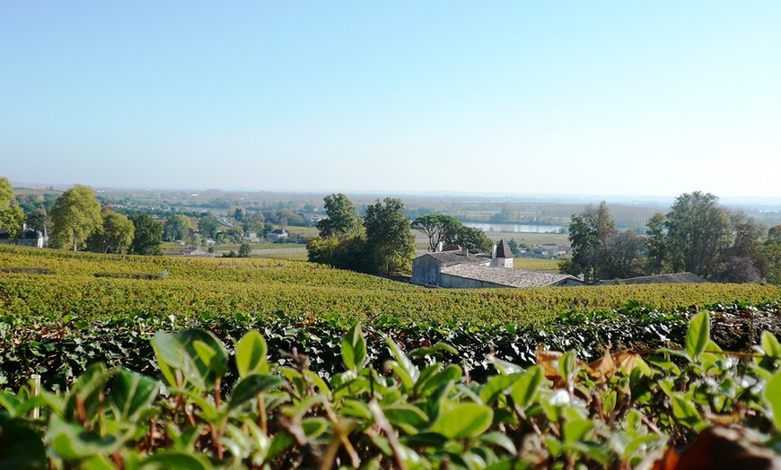 Image 2: Voyage dans le temps et les vignes, à deux