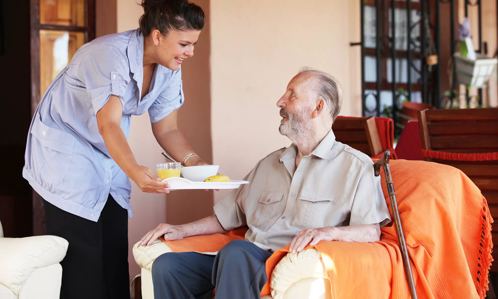 Explore Precious Paws LLC's Weekly Senior Care Package w/ a 3-Hr Deep Clean+ Local Transportation(Up to 20% Off) - Primary Image