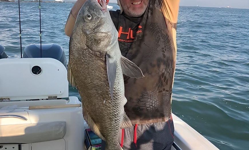 Image 2: Enjoy a Dolphin-Watching Private Boat or Jetty Channel Fishing Trip