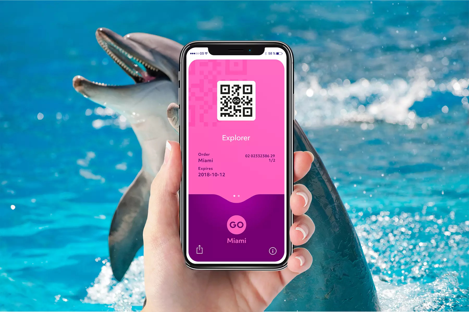 Miami & The Keys Explorer Pass: Admission to 3, 4 or 5 Attractions from 25+ Tours, Aquarium, Cruises, Snorkeling & More  - Primary Image