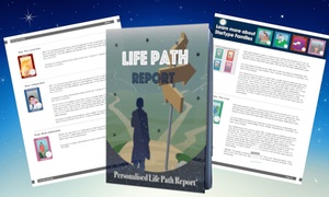 Astrology Life and Career Path Report