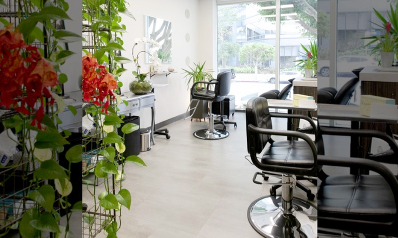 One Shampoo, Blow-Dry, and Haircut or One Haircut and Blow-Dry at Darwin Brown Salon (Up to 47% Off)
