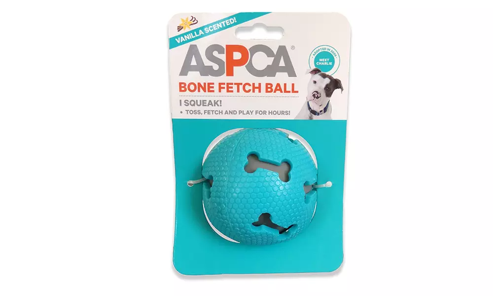 ASPCA Squeaking Fetch Dog Toy (4-Pack) - Second Medium