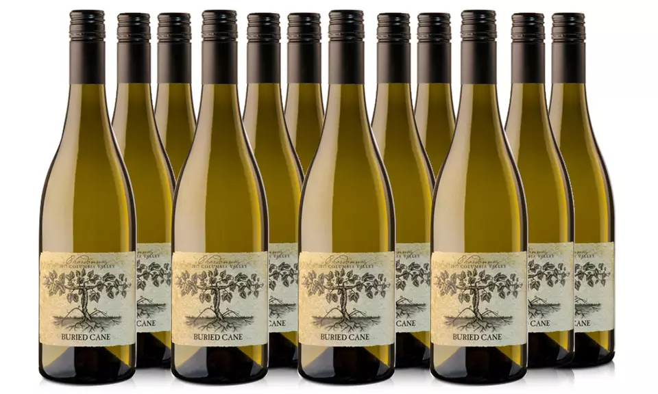 Buried Cane 2018 Chardonnay (6- or 12-Pack). Shipping Included. - Second Medium