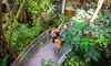 California Academy of Sciences: Single Day All Access Admission Tickets!