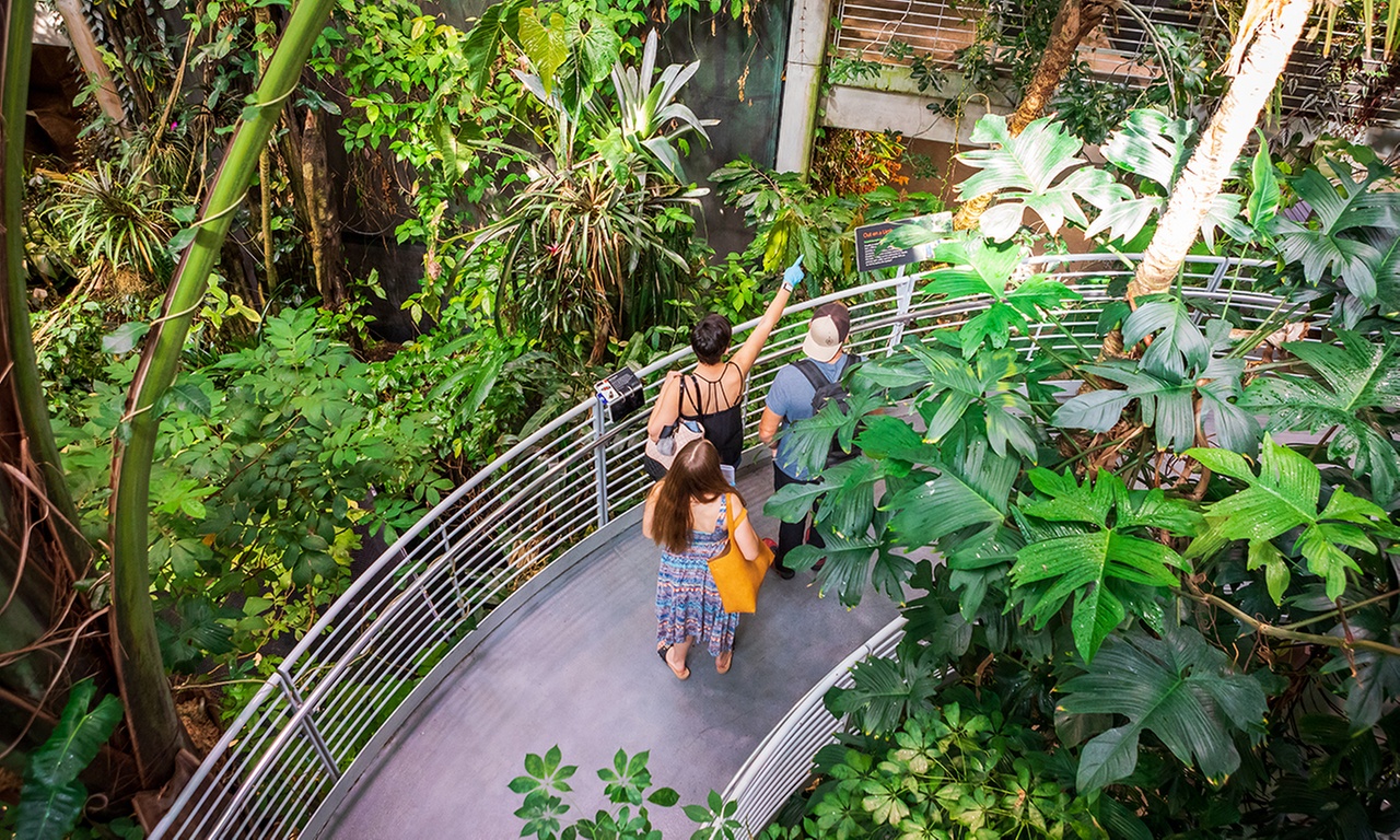 California Academy of Sciences: All Access Admission Tickets!