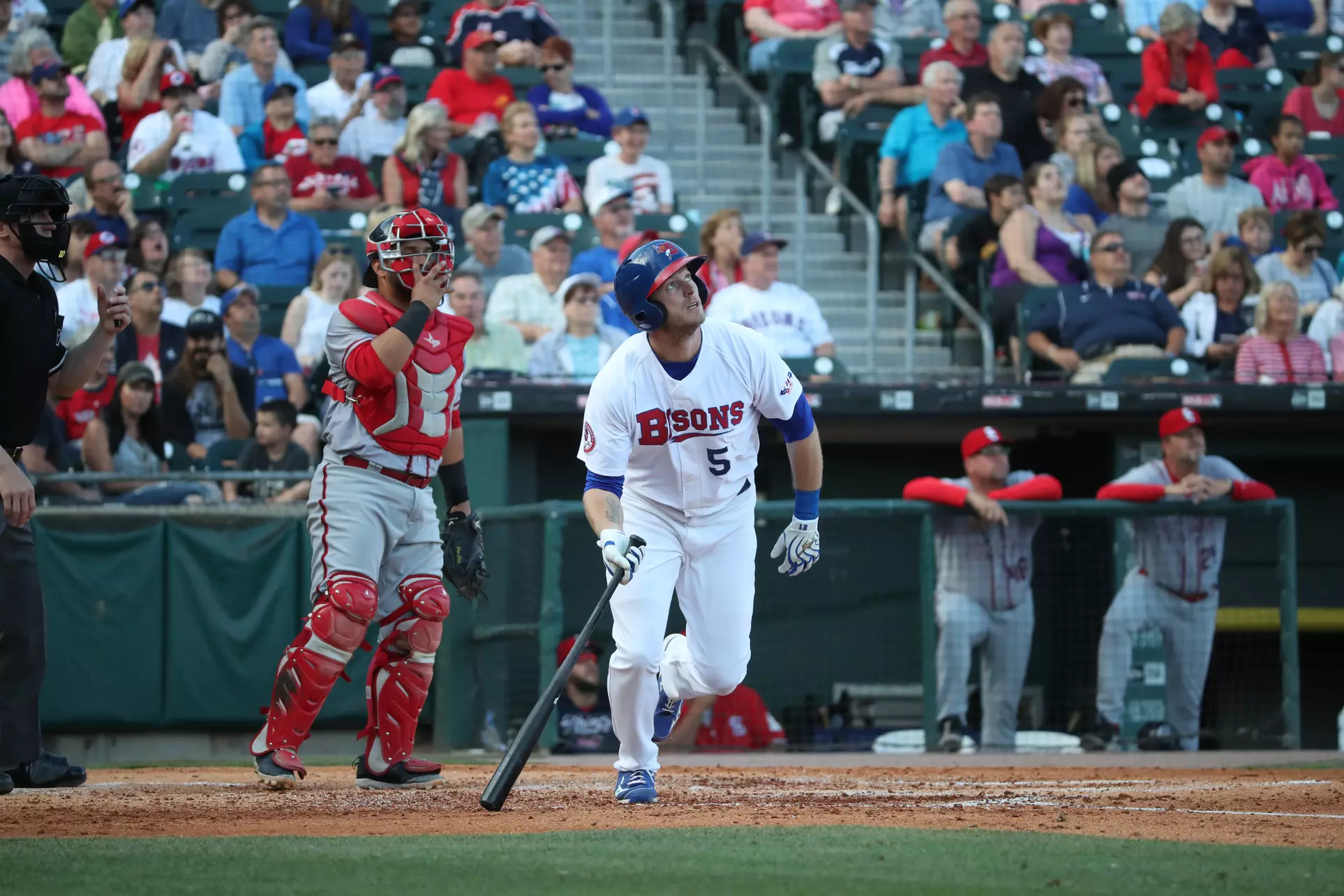 Buffalo Bisons Game in a Luxury Suite for Up to 12 People with Food Package (April 20–May 28)   - Primary Image