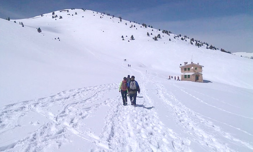 Image 4: Excursión de 4 horas con raquetas de nieve para 2 o 4 personas