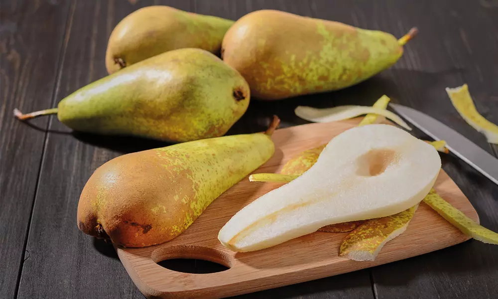 Dwarf Patio Fruit Tree Collection - 3 or 5 Potted Plants