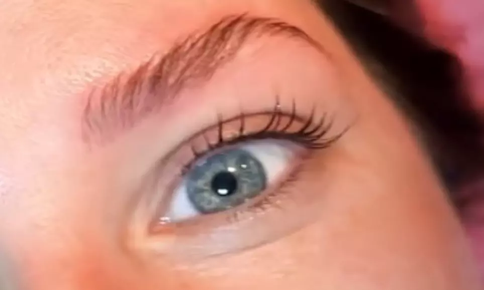 Brow Lamination and Brow Tinting