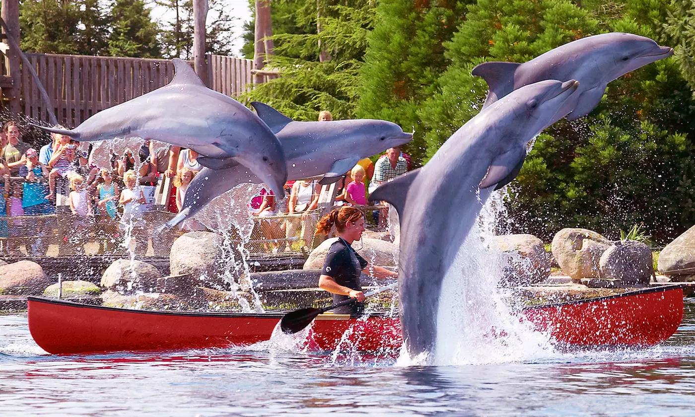 Flevoland: 4-5 Tage für bis zu 5 Personen inkl. Reservierungsgebühr im Oostappen Ferienpark Rivièra Beach - Primary Image