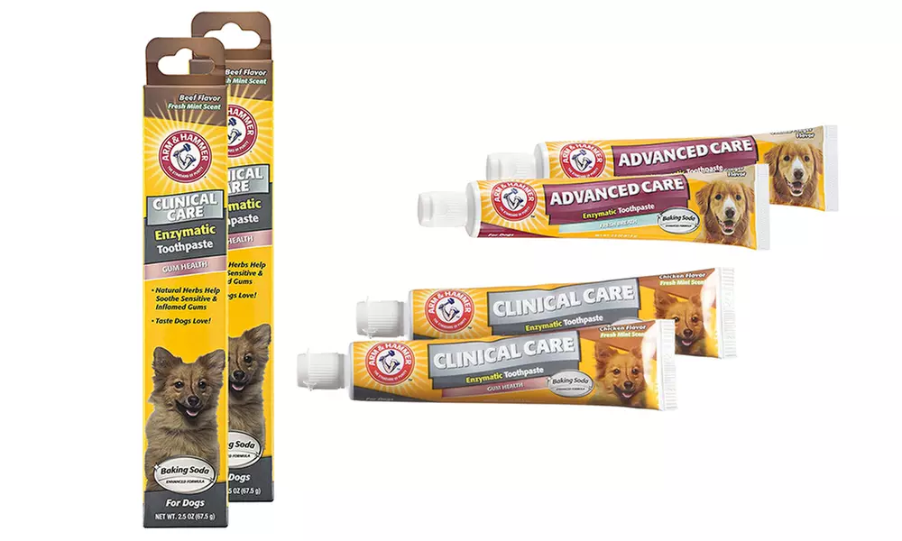 Arm & Hammer Advanced Care Enzymatic Toothpaste for Dogs (2-Pack) - Primary Image